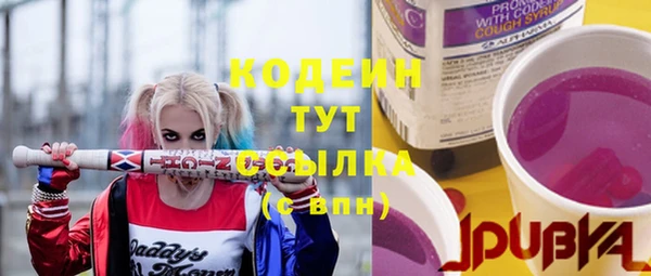 ПСИЛОЦИБИНОВЫЕ ГРИБЫ Дмитриев