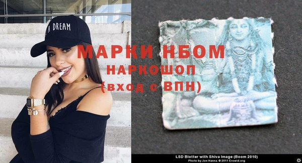 ПСИЛОЦИБИНОВЫЕ ГРИБЫ Дмитриев