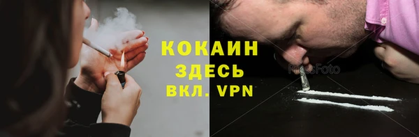 ПСИЛОЦИБИНОВЫЕ ГРИБЫ Дмитриев
