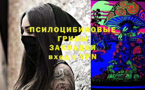 ПСИЛОЦИБИНОВЫЕ ГРИБЫ Дмитриев