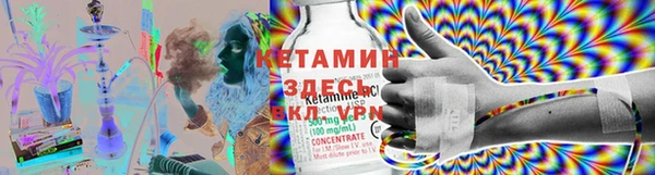ПСИЛОЦИБИНОВЫЕ ГРИБЫ Дмитриев