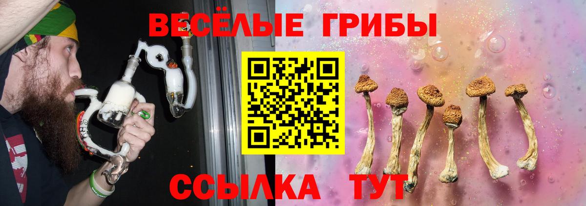 Галлюциногенные грибы мухоморы  Вход с VPN  Заринск  Галлюциногенные грибы GOLDEN TEACHER 
